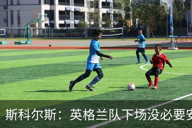 斯科尔斯：英格兰队下场没必要安排两名拖后中场，我会让赖斯替补