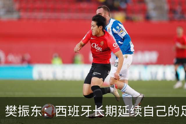 樊振东：西班牙长期延续自己的足球哲学，全员健康也很重要