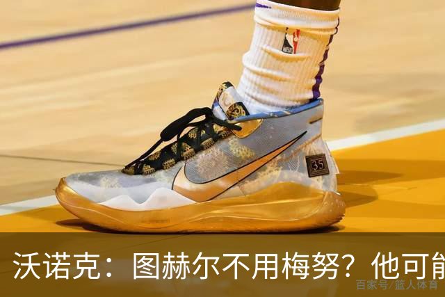 沃诺克：图赫尔不用梅努？他可能担心梅努踢得好会显得他愚蠢