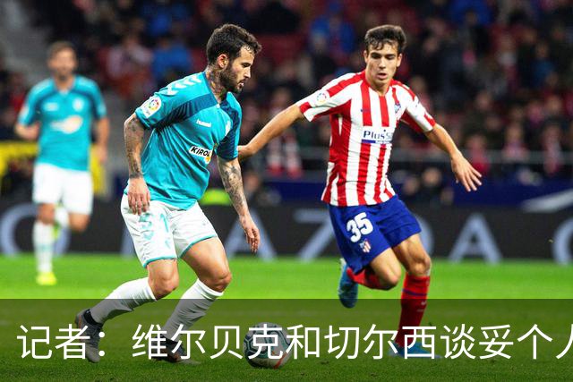 记者：维尔贝克和切尔西谈妥个人条款，布莱顿不会阻挠球员离队